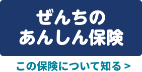 ぜんちのあんしん保険 この保険について知る